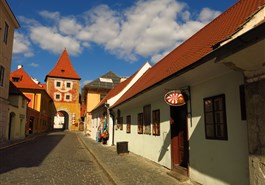 Escursione privata alla città di Český Krumlov