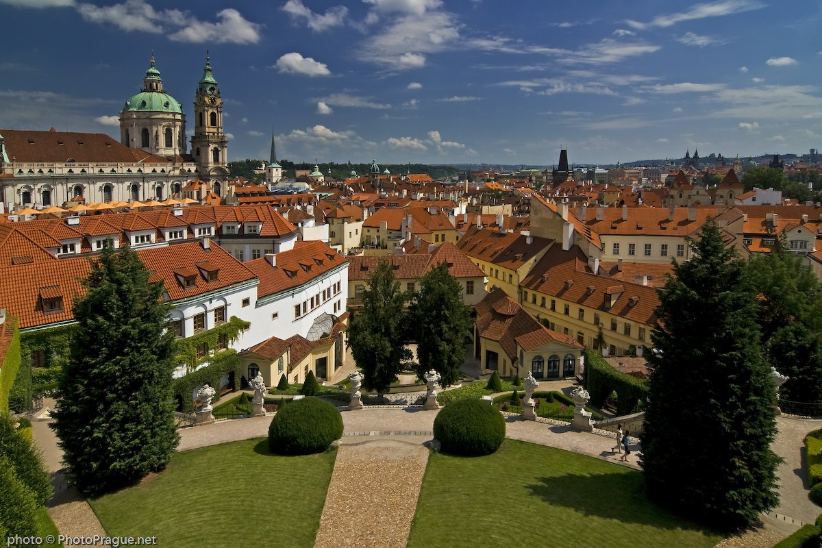 A rooftop garden, offering a sun-drenched view of a sea of orange-tiled roofs