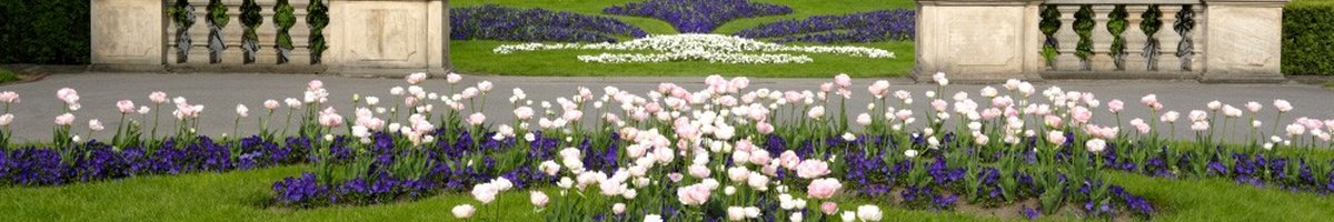 Royal garden 4